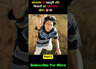 शिकारी का खौफनाक खेल 🎯 🐨 #movie #shortsvideo @hindidubbed92