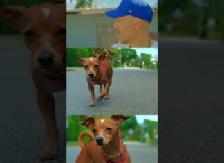 1980s music x LA Rap ๐๐๐