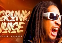 Best of 2000’s Crunk Hip Hop Mix | Top Throwback Rap | Lil Jon, Crime Mob, Lil Srappy- King James