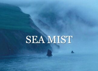 Sea Mist (wavy hiphop)